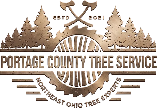 Portage County Tree Service — Northeast Ohio Tree Experts