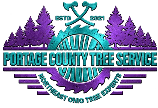 Portage County Tree Service — Northeast Ohio Tree Experts