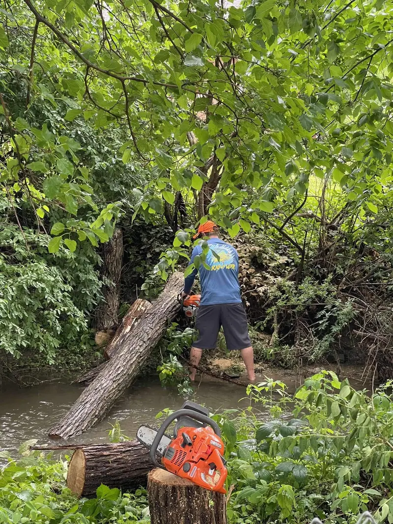 A worker standing in a creek with a chainsaw, cutting through a fallen trunk in the water