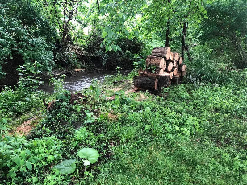 A cleared creek with the cut logs stacked neatly on the bank