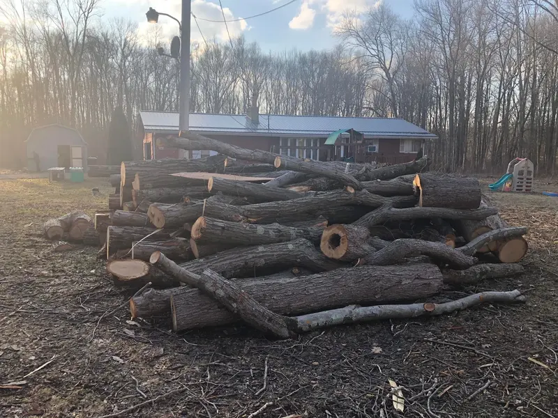 A large pile of bucked logs stacked on a cleared property at sunset