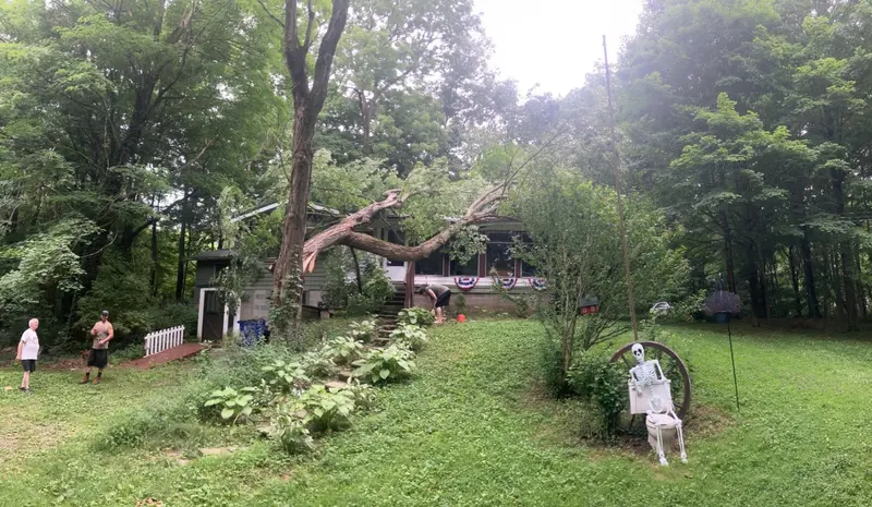 A large storm-fallen tree lying across the roof of a house, seen from the yard